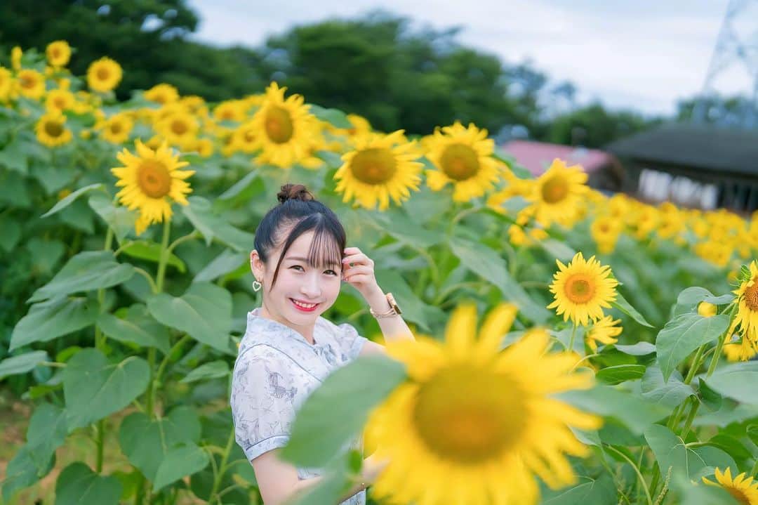 平野ほのかのインスタグラム：「~ ⁡ ⁡ ~ ⁡ あなただけを見つめる。 ⁡ ~ ⁡ ⁡#平野ほのか #撮影モデル #写真 #笑顔 #自撮り #夏 #ひまわり畑 #成田ゆめ牧場  #黄色 #幸せ #被写体になります #カメラ  #photo #foryou #love #fyp #happy」