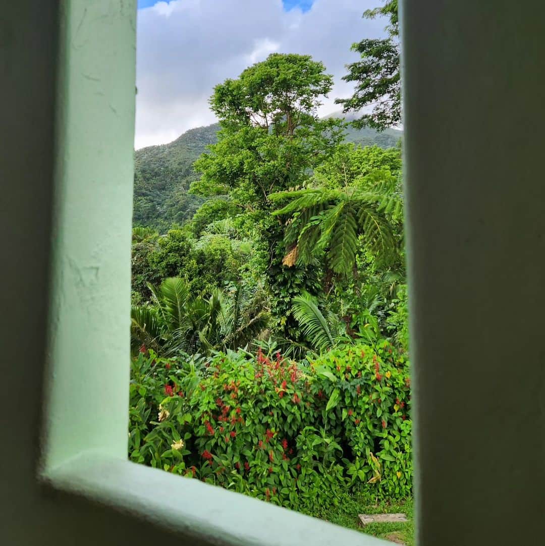 ゴーダ・ブトクテさんのインスタグラム写真 - (ゴーダ・ブトクテInstagram)「Spend the best day with @andreafahlander hiking and exploring rain forest in Puerto Rico. Is an absolutely dream come true 😍 . . . . . #puertorico #rainforest #sanjuan #jungle #forest #waterfall #usa #hiking #rain #nature」8月8日 5時11分 - godabutkute