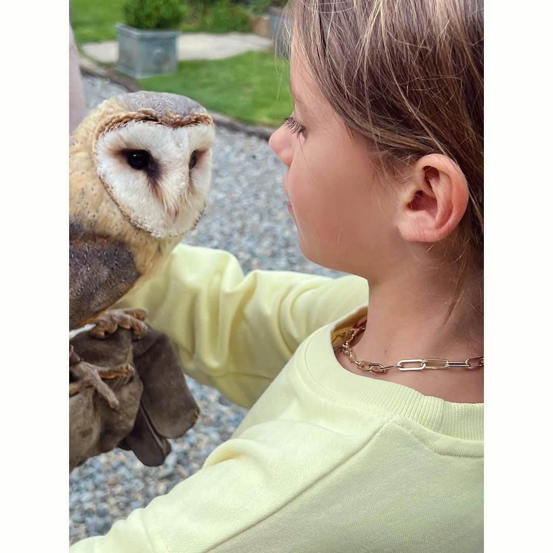 Elizabeth Chambers Hammerさんのインスタグラム写真 - (Elizabeth Chambers HammerInstagram)「Angry birds and summer so far. July, pt 1…Ireland (and time with my @maeveodoherty1 and our favorite Lyne family) was pure magic 🌈💚🕊️」8月8日 7時35分 - elizabethchambers