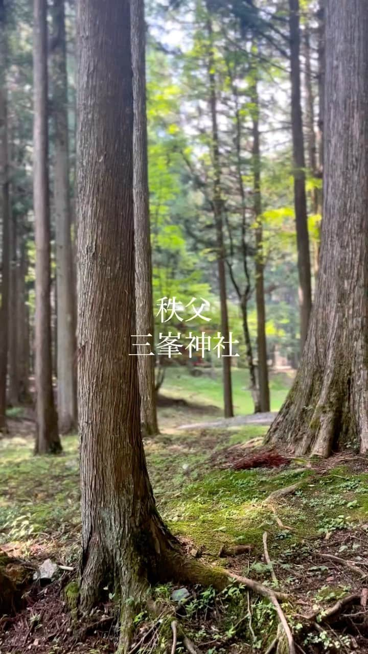 吉沢悠のインスタグラム：「． 埼玉県秩父市 〈三峯神社〉 ． ． 狛犬ではなく、狛狼がいる神社。 ． 「三ツ鳥居」や、床に浮き出て来た「龍」など、不思議な雰囲気が三峯神社にはある。 ． ．　 過去に話題になった、毎月１日に授かる事ができるという「白の御守り」は、現在は行なっていないそうです。 ． ． #秩父 #三峯神社 #狼 #三ツ鳥居 #龍 #氣守り #japan #travel #japantrip  #chichibu  #mitsumineshrine  #spirituality  #power」