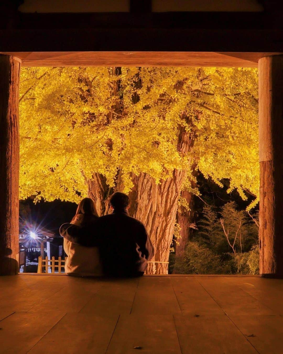 Rediscover Fukushimaのインスタグラム：「There is something very humbling about contemplating a +800-year-old tree. ✨  Shingu Kumano Shrine Nagatoko is a worship hall in Kitakata City built in 1055. It has been designated as a Nationally Important Cultural Asset.  The shrine has fascinating relics, like the oldest bell in Fukushima and a pot used for offerings that was designated an Important Cultural Property. 🙌  The site is also home to a towering ginkgo tree, estimated to be over 800 years old. Each autumn, the tree is lit up in the evenings for one week, a truly spectacular sight. 🤩  🎟️ There is an entry fee of 300 yen for adults and 200 yen for high school students. Discounts apply to groups of over 20 people. Middle school-aged children and younger can enter for free.  🗓️ For reference: Last year's light-up event went from November 15th to November 22nd. This year's dates have not been announced yet.  ℹ️ You can go to the Shingu Kumano Shrine Nagatoko within 10 minutes by car or taxi from Kitakata Station, but there is no way to access it using public transportation.  Would you like to visit? 🥰 Don’t forget to save this post for your autumn travels in Northern Japan! 🔖   Photo Credit  Picture 1: @tohokutourism © 一般社団法人東北観光推進機構 Pictures 2-5: @gokujounoaizu (極上の会津プロジェクト協議会)   #visitfukushima #fukushima #tohokutrip #japan #photo_jpn #japantrip #japantravel #japaneseculture #japanlife #japanphoto #japantourism #autumninjapan #autumntrip #japan_of_instagram #kitakata #ginkgobiloba #japanshrines #traveltojapan #beautifuldestinations #beautifulplaces #tohoku #northernjapan #visitjapanjp #visitjapanau #visitjapantw #shingukumanoshrine」