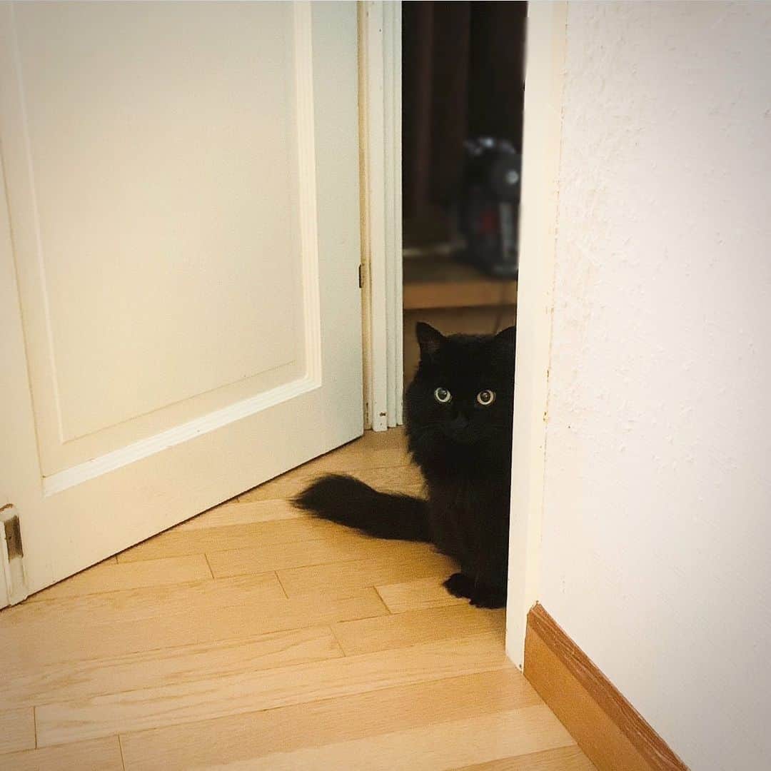 OKAのインスタグラム：「おはよう、にんにん」