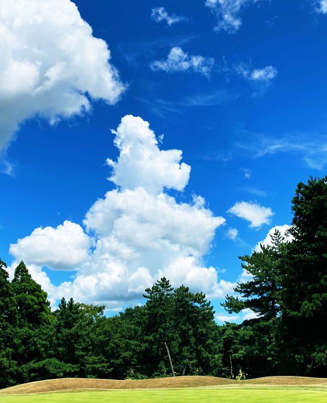 ブル中野さんのインスタグラム写真 - (ブル中野Instagram)「昨日は☀️暑い中ゴルフ⛳️どうにか最後迄、回れました👍炎天下、空を見上げると綺麗な雲。ふっと笑顔😊、ランチは生姜焼き定食にしました。今日も頑張ろう🙌 https://youtu.be/DTGnpXLf7Wg?si=x5S2pIE1rLEuNKHx  舞台「生きる」  [ブル中野扱い 予約フォーム] https://www.quartet-online.net/ticket/zange?m=0xeabaf よろしくお願いします。」8月8日 10時38分 - bull__nakano