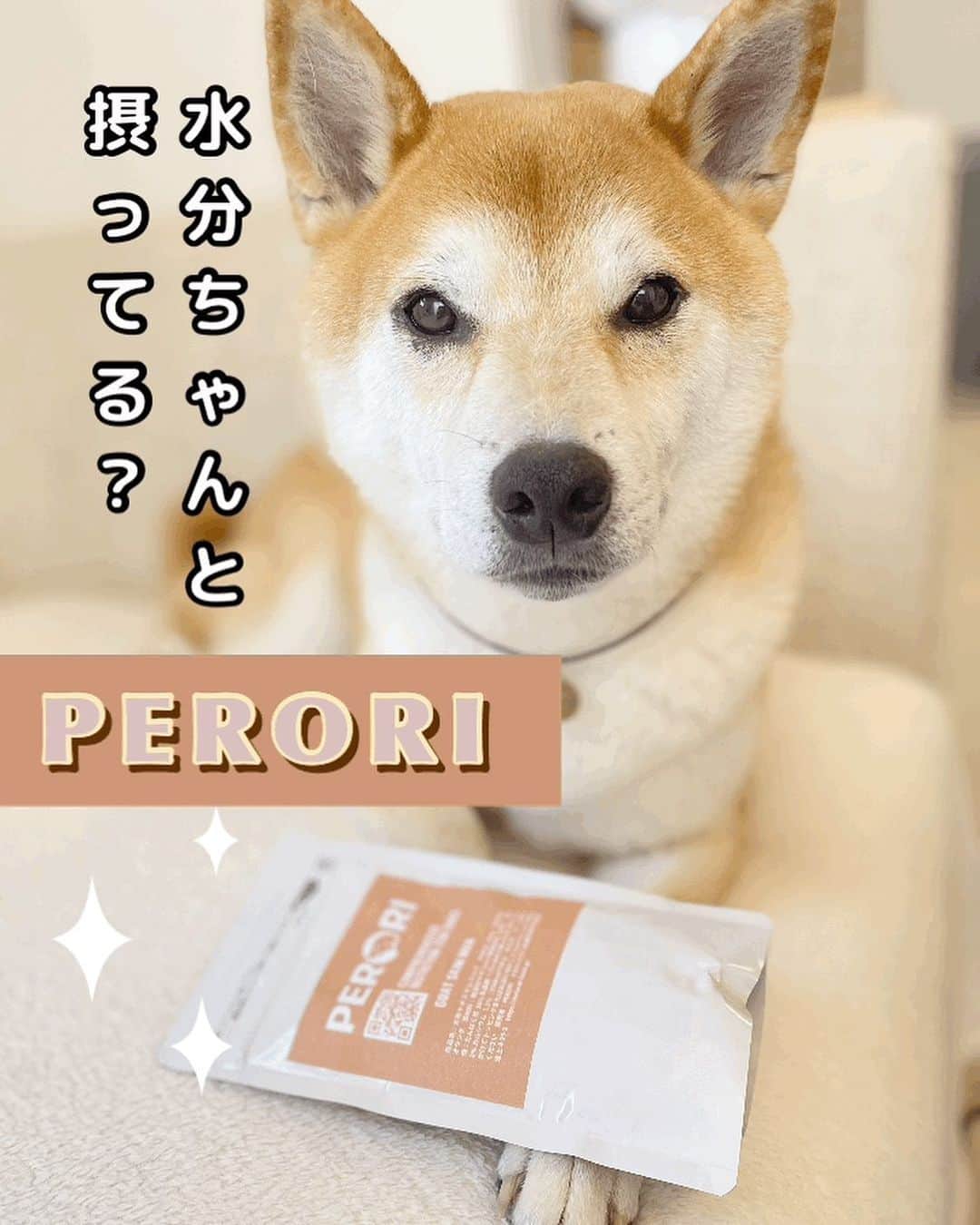 柴犬Mamesuke・Korosuke??大阪さんのインスタグラム写真 - (柴犬Mamesuke・Korosuke??大阪Instagram)「🐱🐻👧🏻 🐾----*----*----*----*🐾 みなワン、しっかりと水分摂ってるかワン？！ 僕は、ヤギミルクの脱脂粉乳を飲んでるよー🍼 カルシウムやビタミン、タンパク質、ミネラルなどが豊富だし☺️ 水にもスッと溶けるから、与えやすいよー❣️ #ドッグフードPERORI @dogfood_perori  ↑ここでチェックしてね🙌🏻 🐾----*----*----*----*🐾 #MameKoro #豆コロ #柴犬と子供 #犬と子供 #チャリちゃん見守り隊 #子守犬 #豆柴 #柴犬 #赤柴 #豆介 #コロ介 #shibagram #shibastagram #shibainu #shiba #🐕📷」8月8日 10時48分 - mame_suke_i