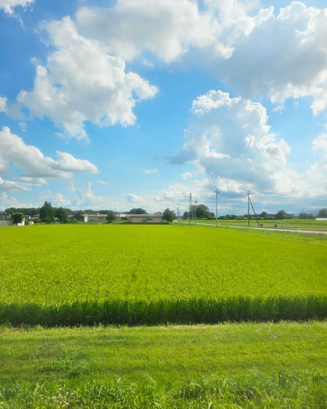 杉山由紀子のインスタグラム：「📍ひまわり畑  今日8/8はライオンズゲート全開🌞 朝から😠⚡⚡ 感情を揺さぶられる時 みなさんはどうしてますか？  那須のひまわりが可愛すぎて🌻 個人的には後ろからのひまわりがツボ💓  これわかってくれる人いるかなー😆？笑  自然と都会のバランス大事👍️  #ライオンズゲート #88 #8月8日 #那須塩原 #お盆 #夏休み #夏やすみ #summer #那須ハイランドパーク #ひまわり畑 #ハンナガーデン #旧青木家別邸 #nsyard #旅行 #旅 #trip #travel #vacation #japan #japantravel #japantrip」