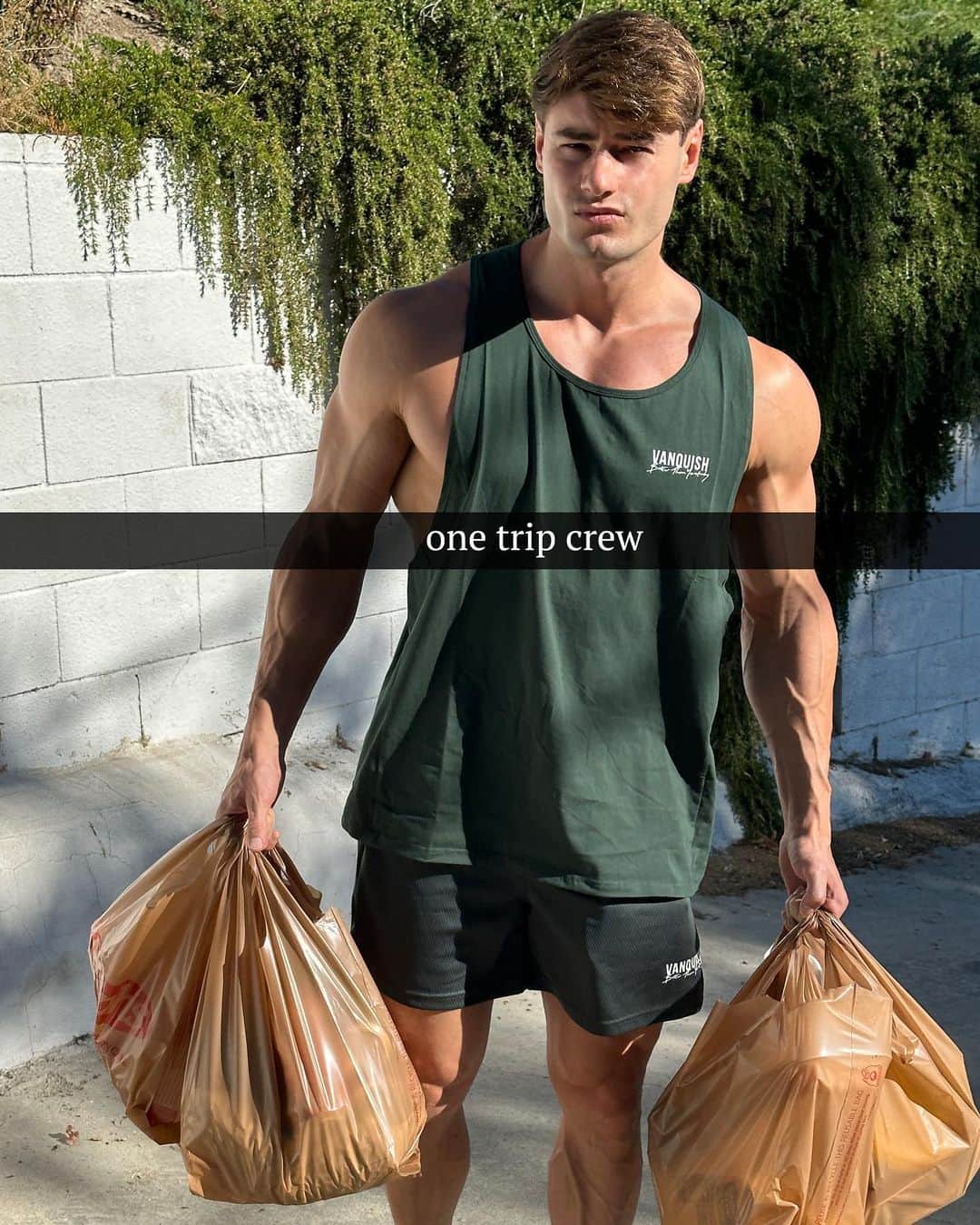 Jeff Seidのインスタグラム：「@vqfit」