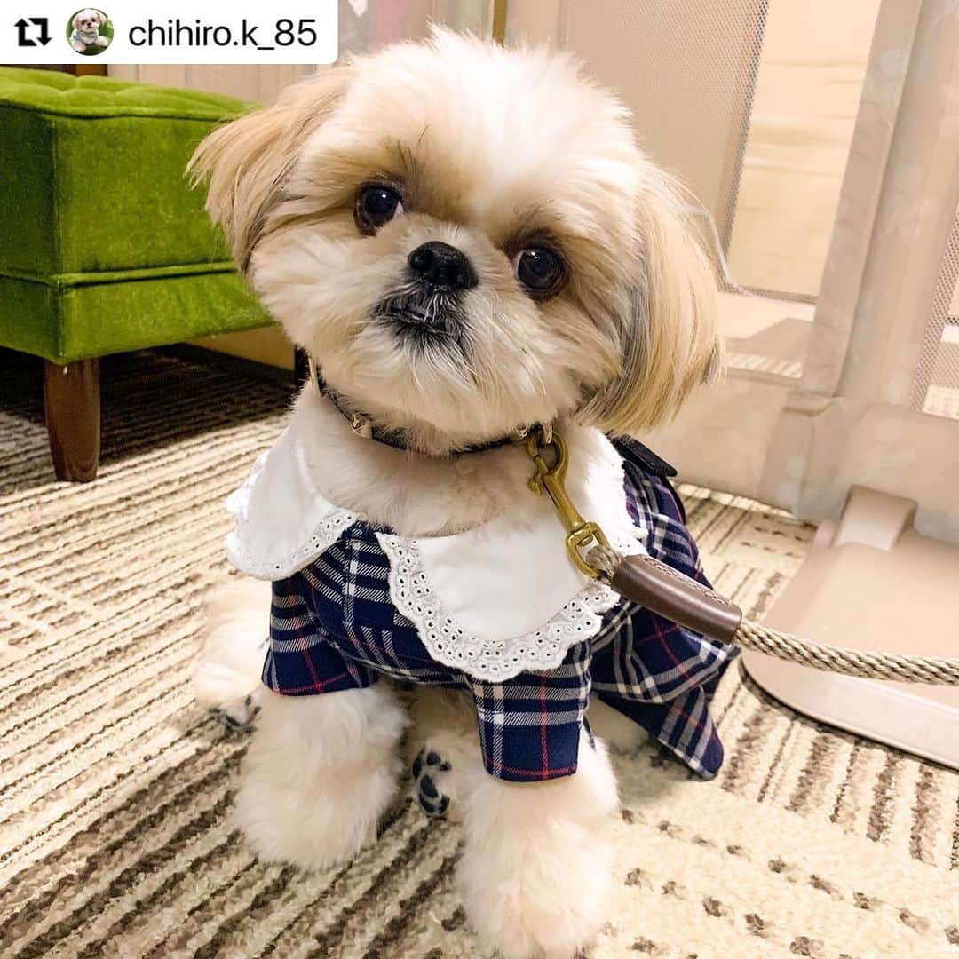 Caluluさんのインスタグラム写真 - (CaluluInstagram)「ONE OCTAVEのチェック柄プリーツワンピースとマリン ...
