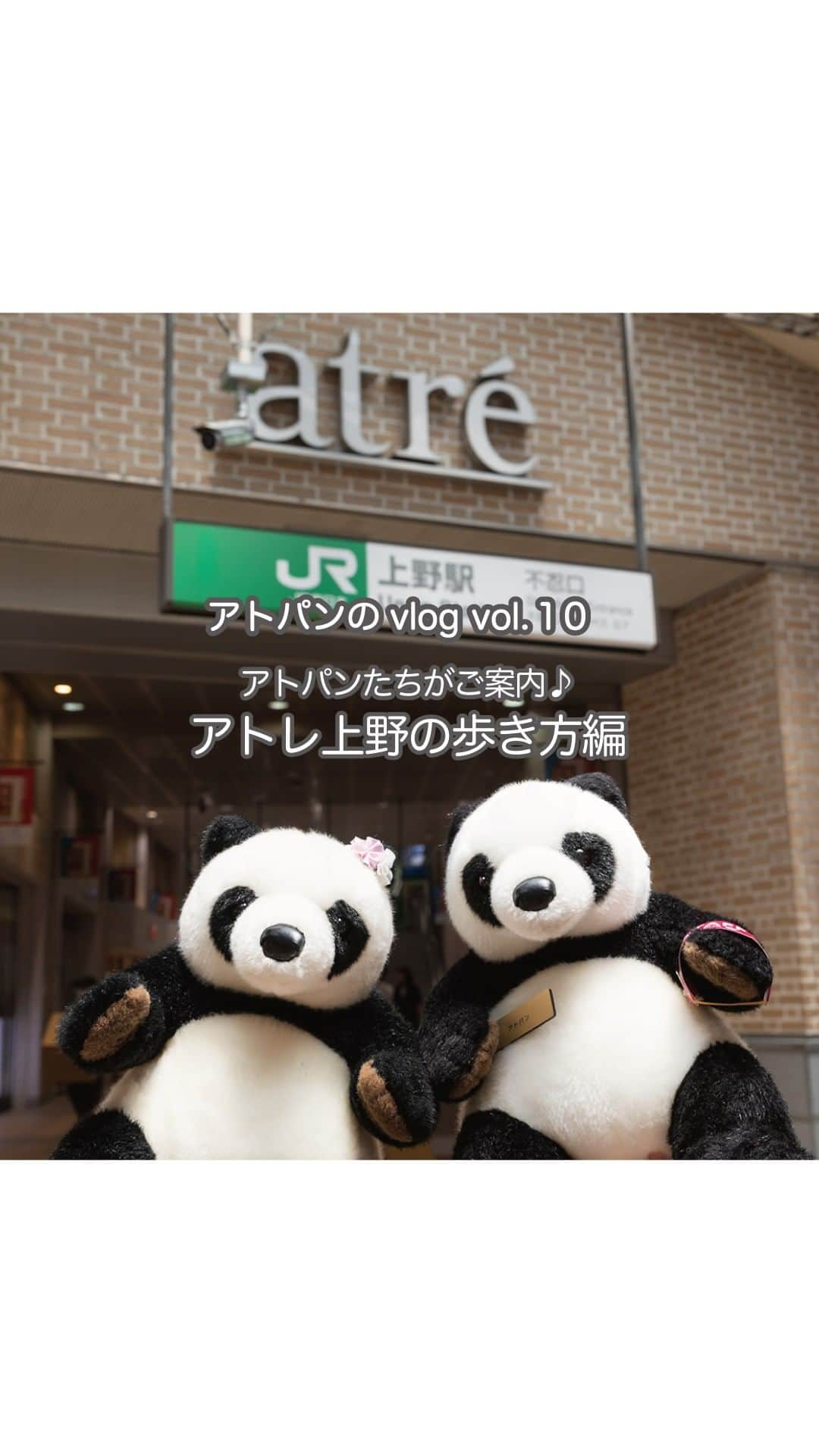 アトレ上野（atre ueno）のインスタグラム：「"アトパンのVlog vol.10🐼💓  今回は「アトレの歩き方」をテーマに、 上野駅の改札から出てからアトレ上野を巡るルートや、 ぼくたちおすすめのアトレ上野の魅力などを動画で紹介するよ🌟  ぜひ動画をチェックして、アトレ上野に遊びに来てみてね♪ "  "Atopan's Vlog vol.9🐼💓  This time, under the theme of ""How to walk around ATRE"", we'll show you the route from the ticket gates of Ueno Station to the ATRE Ueno and our recommendations of what to see and do at ATRE Ueno in this video 🌟.  Please check out the video and come visit us at the atre Ueno!"  "Atopan Vlog vol.9🐼💓 這次的主題是「atre的逛街指南 」，  我們會在影片中介紹從上野車站出來後, 一路逛到atre上野的路線，  以及我們推薦的一些atre上野的魅力之處等等🌟  大家一定要看看影片，來atre上野玩哦♪"   #上野 #アトレ上野 #アトレ #atre #atreueno #パンダ #上野パンダ #上野散策 #熊猫 #東京観光 #PANDA #🐼 #ueno #tokyotour #ぬい撮り#上野駅#uenostation#上野ショッピング#上野デート#上野公園#上野動物園#アメ横#上野ランチ#上野カフェ#uenozoo#uenopark#uenolunch#uenocafe#ameyoko」