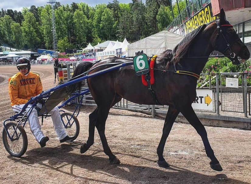 ニコラ・ヨキッチのインスタグラム：「Another horse in Nikola Jokic’s Dream Catcher stable: Harley D Energy 🐎  A 9-year-old from Germany but with only one career 1st place finish. He was 2nd in a race that Jokic saw live back home on June 18, six days after the Nuggets won the championship.  Career earnings: €16,630  Source: Harrison Wind/X 📷 . . . #jokic #jokicnikola #joker #nikola #nikolajokic #denver #nuggets #denvernuggets #colorado #nba #basketball #serbia #usa #srbija #sombor #belgrade #beograd #mvp」