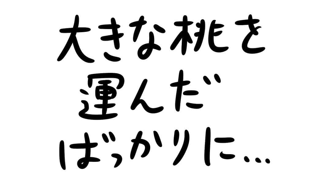 おほしんたろうのインスタグラム：「あらあら . . . . . #おほまんが#マンガ#漫画#インスタ漫画#イラスト#イラストレーター#イラストレーション#1コマ漫画#桃」