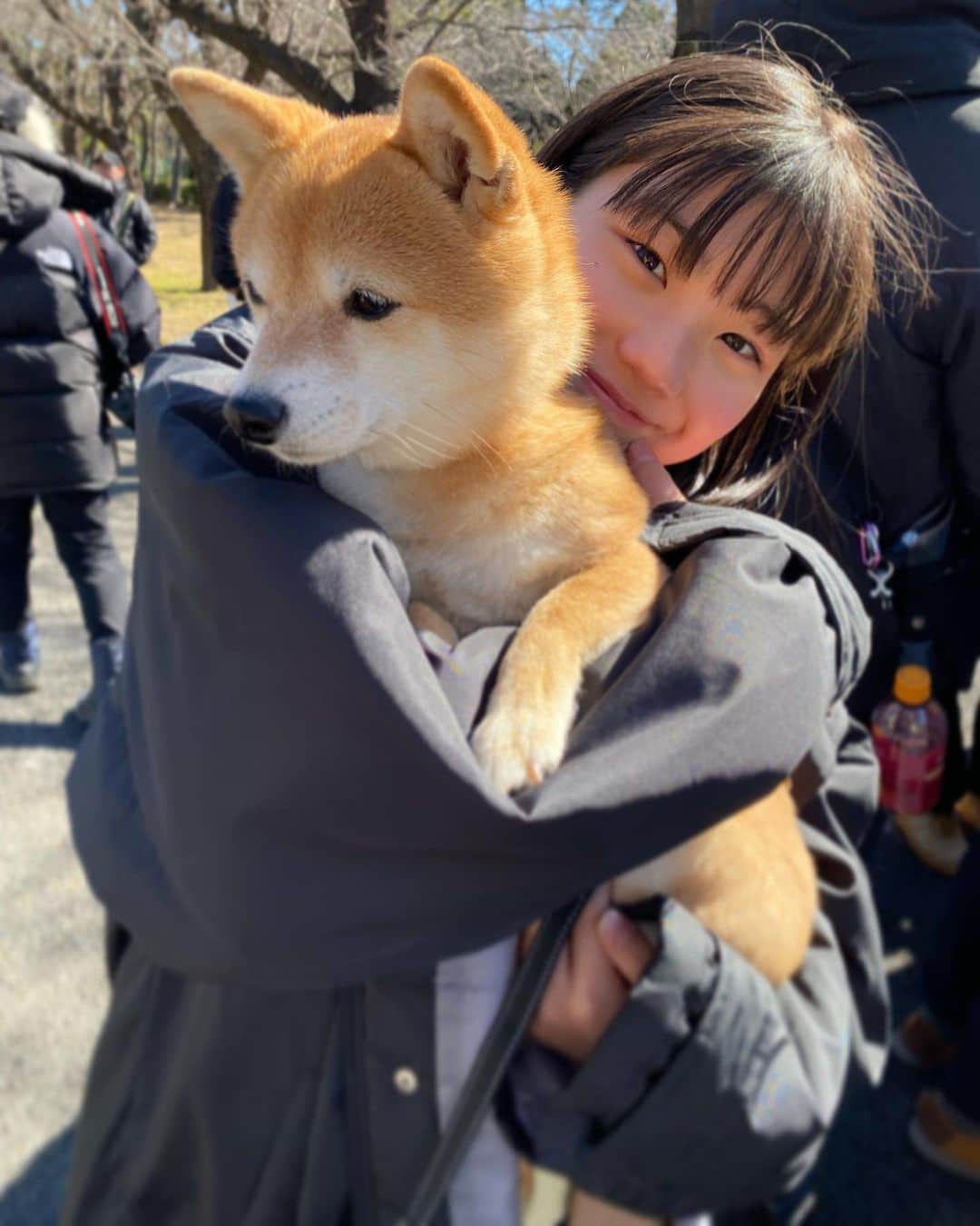 毎田暖乃のインスタグラム：「お知らせです🐕 #テレビ朝日  『シッコウ!!～犬と私と執行官～』🐾第6話に 佐久山真琴 (さくやま まこと)役 (#でんでん さん演じる伸司の孫)として 出演させていただきます😊  放送は8/15(火)よる９時！ 可愛いワンちゃんがいっぱいです🐶  #伊藤沙莉 さん、#織田裕二 さんをはじめ、 執行官の皆さんとの楽しいやり取りをぜひご覧ください!  #シッコウ !!〜犬と私と執行官〜🐾 脚本: #大森美香 さん  #佐久山真琴 (さくやま まこと)役 #毎田暖乃  #ルート」