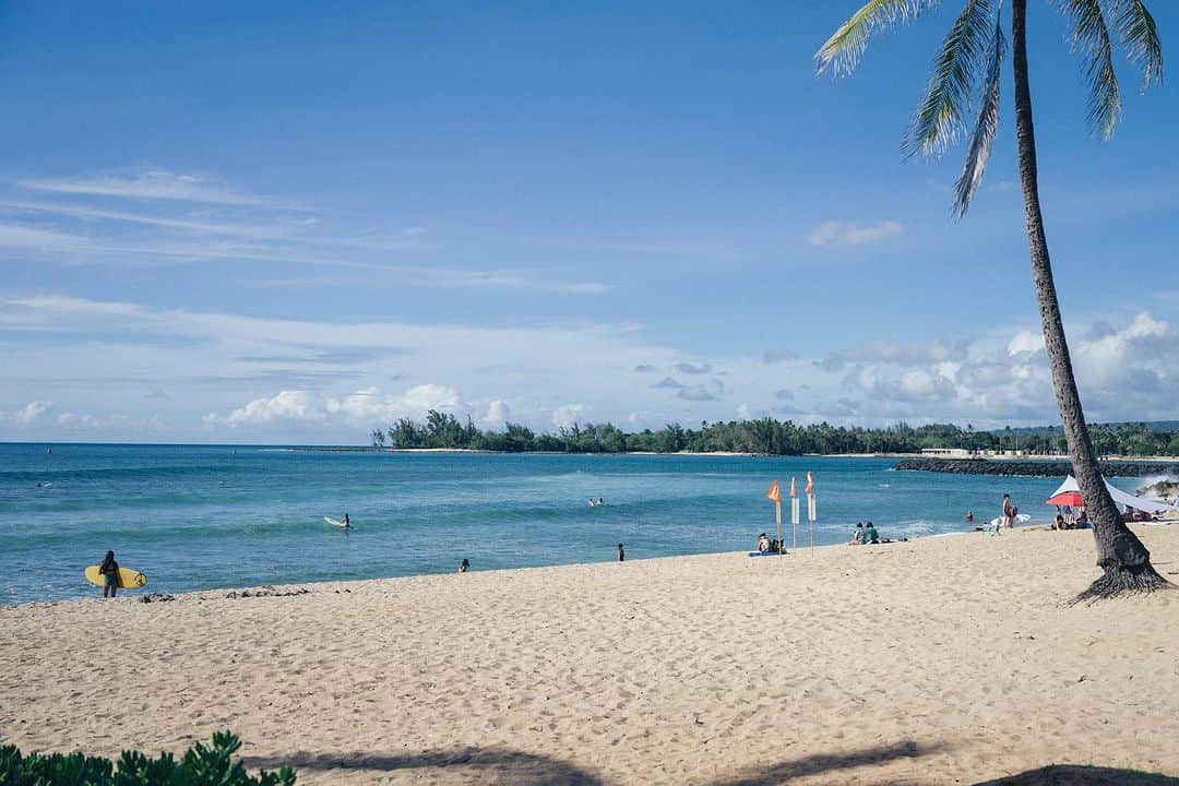 GENIC 公式インスタグラムさんのインスタグラム写真 - (GENIC 公式インスタグラムInstagram)「・ A week in Hawaii  映像クリエイターであり、プロトラベラーであるAOI @tammychannn が、久しぶりに家族でオアフ島へ。  今までなんどもハワイを旅してきたAOIが、観光客も戻ってきている2023年のハワイの定番おすすめスポット、最新スポットを紹介します。 ホテル、ビーチ、フード、アートやイベントなど、ぜひ参考にしてください。  @genic_magのハイライト「GENIC WEB」よりアクセスできます。」8月8日 22時33分 - genic_mag