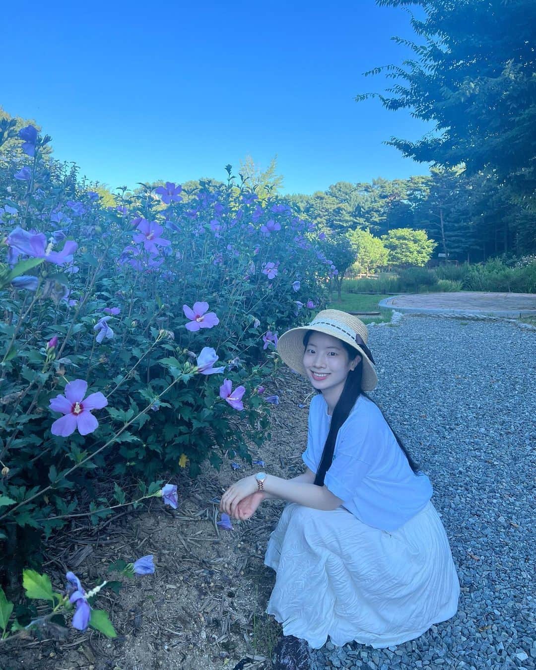 ダヒョンさんのインスタグラム写真 - (ダヒョンInstagram)「무궁화 꽃이 피었습니다🌸」8月8日 22時47分 - dahhyunnee