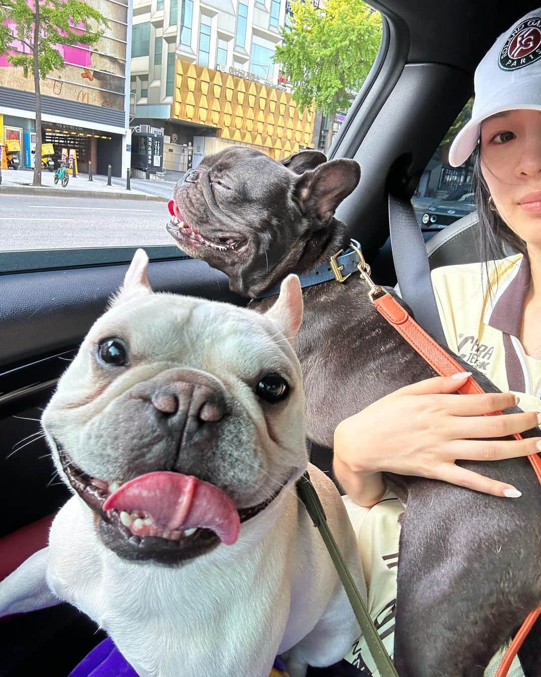 アイリーン・キムのインスタグラム：「Dogs never lie about love ♥️」