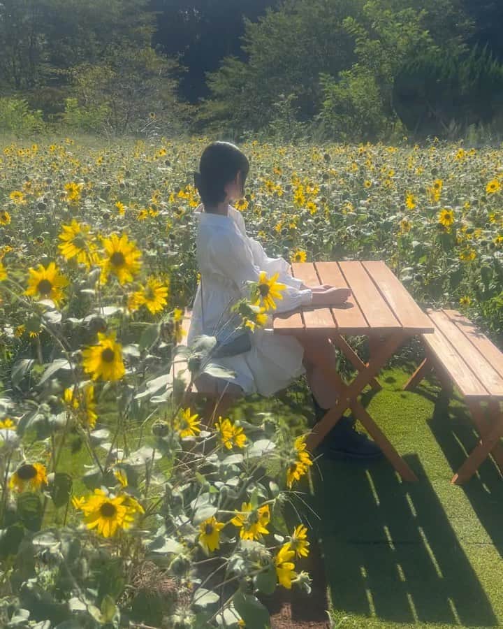 希花のグルメインスタ