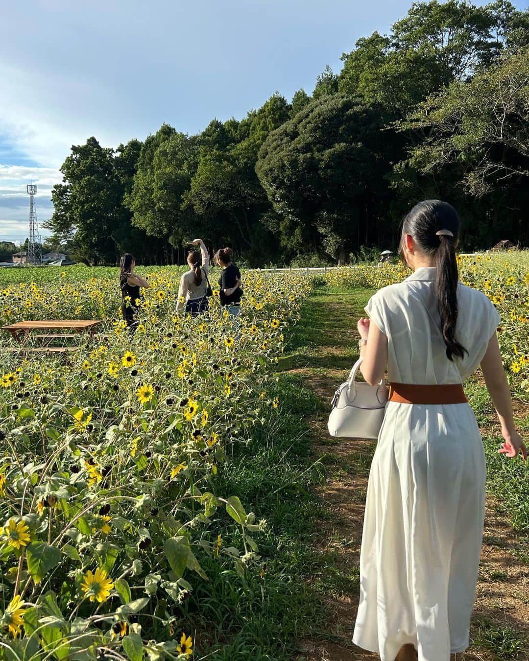 希花さんのインスタグラム写真 - (希花Instagram)「seems summer times started」8月8日 23時15分 - snowdropkiana