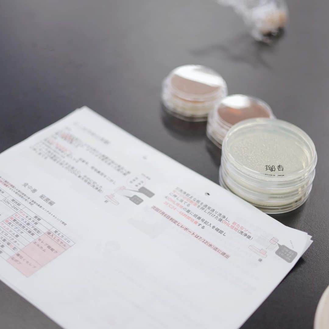 福岡女子短期大学さんのインスタグラム写真 - (福岡女子短期大学Instagram)「💠健康栄養学科(repost)  夏休み期間中は前期の講義を振り返ります。今回は💠健康栄養学科２年生「食品衛生学実験」です🔬  健康栄養学科２年生「食品衛生学実験」は、食中毒の原因ともなる細菌についての実験でした。栄養士の卵たちが頑張ってます🧪  #福岡女子短期大学 #健康栄養学科 #栄養士の卵 #栄養学生 #食品衛生学」8月8日 23時24分 - fukuoka_wjc