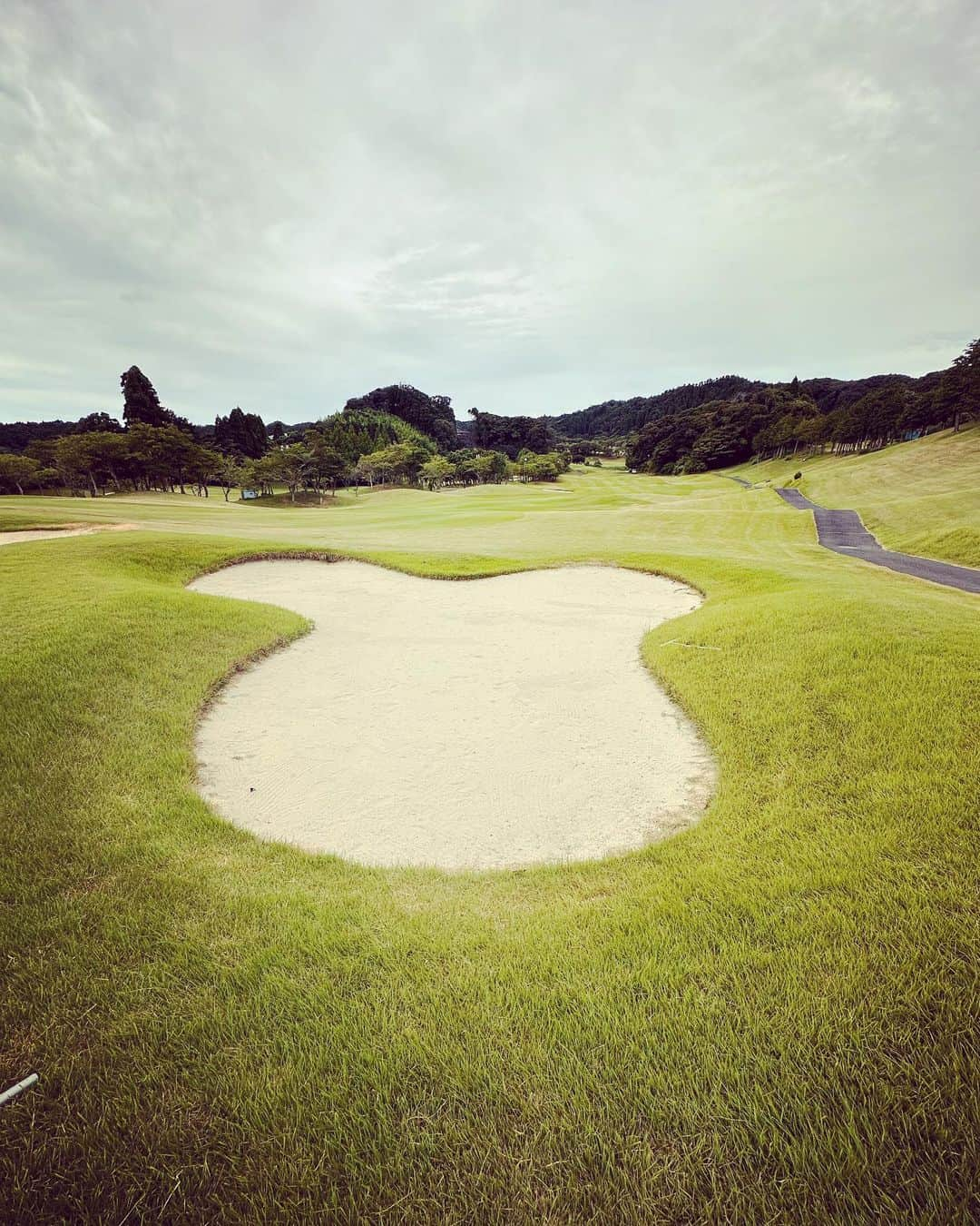 近藤頌利のインスタグラム：「着実にハマりつつある🏌️‍♂️  #ゴルフ #golf  #近藤頌利」