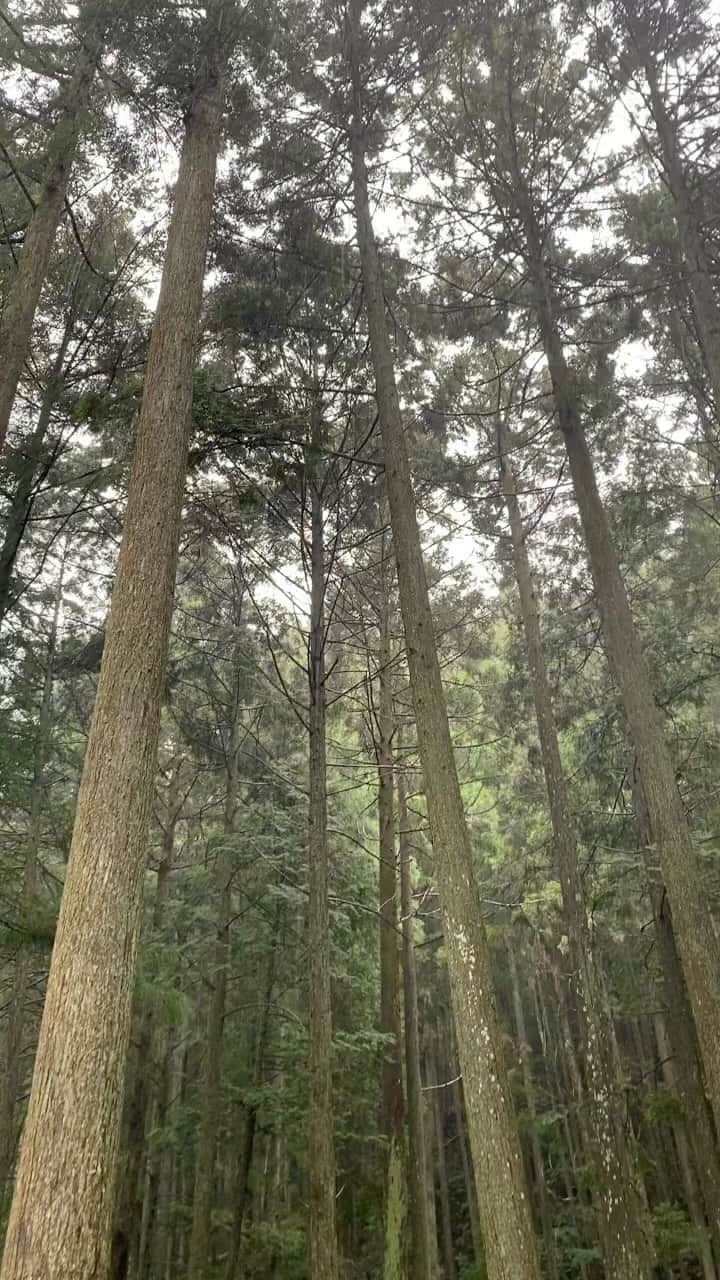 VASTLANDのインスタグラム：「TCテントの撮影に来ていますが、途中から大雨に😭😭 撥水はいい感じです🙆‍♂️  #vastland #ヴァストランド #tcテント #テント #キャンプ」