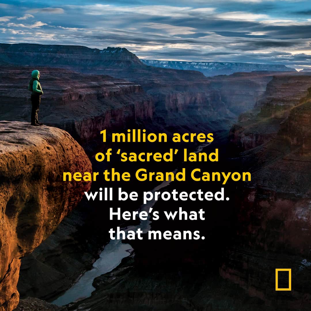 National Geographic Travelさんのインスタグラム写真 - (National Geographic TravelInstagram)「Read more at the link in bio.  The designation of the land as a national monument by @potus will honor Indigenous homelands in northern Arizona and protect the site from further uranium mining.  Photograph by Pete McBride @pedromcbride」8月8日 17時00分 - natgeotravel