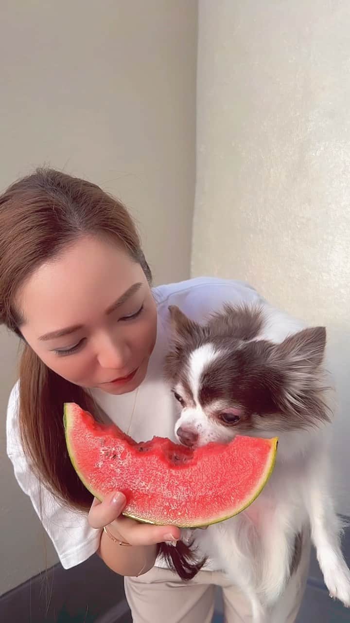 相知明日香のインスタグラム