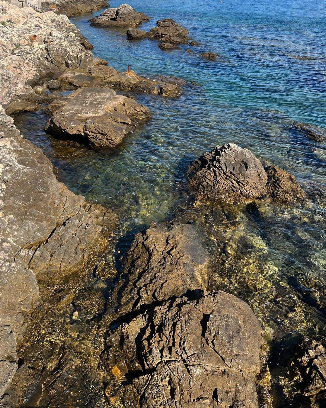 サクラ・キルシュさんのインスタグラム写真 - (サクラ・キルシュInstagram)「🐚🦀☀️🍇 . . #halfgerman #halfjapanese #model #beach #sunny #sunnyday #summer #summervibes #beachday #croatia」8月8日 17時31分 - sakura_kirsch