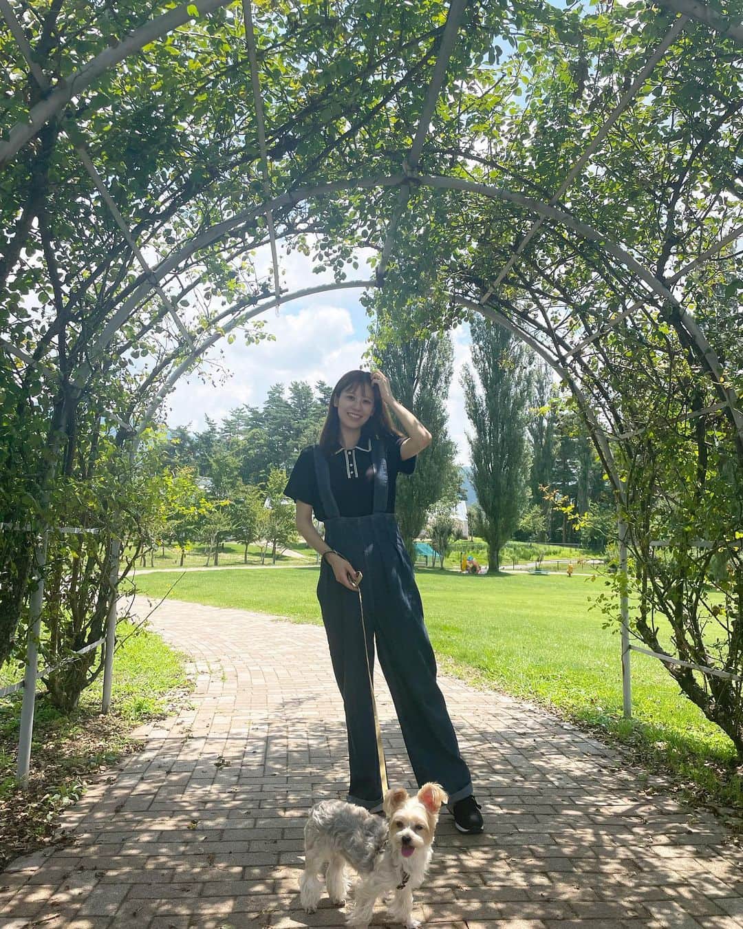 溝口恵のインスタグラム：「またも髪の毛を切る前のお写真ですが…  旦那さんはひじきも楽しめる公園とかご飯屋さん、カフェをよく探してくれます🐶 暑いので基本的に長時間は外にいないのですが、少しお散歩するにも楽しげな公園を見つける天才だ… いつもいろんな所に連れて行ってもらってありがたいなぁと思っております🤲  リフレッシュだね〜  #ひじめぐ #dog #犬 #愛犬 #ミックス犬」
