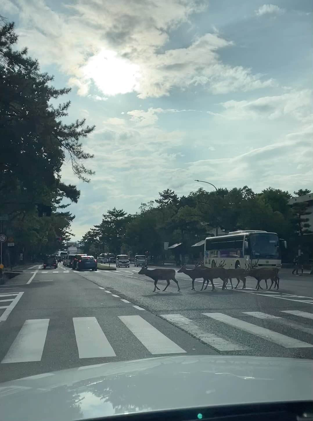 福西崇史のインスタグラム