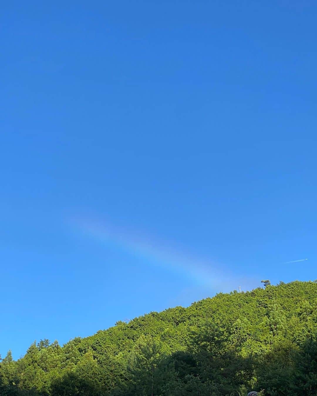 柴田紗希さんのインスタグラム写真 - (柴田紗希Instagram)「すばらしいすばらしい日があって それを良かったねって 言ってくれてるみたいに外には虹が出てて その後に鷺が飛んでくれた♡ 嬉しくて勝手に涙が出た日☺️✨」8月8日 18時24分 - shibasaaki