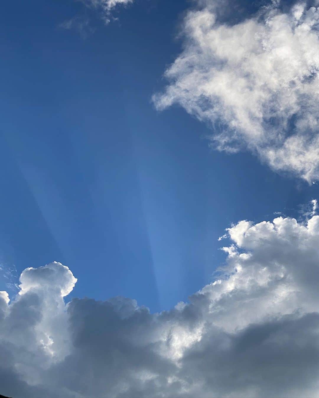 柴田紗希さんのインスタグラム写真 - (柴田紗希Instagram)「すばらしいすばらしい日があって それを良かったねって 言ってくれてるみたいに外には虹が出てて その後に鷺が飛んでくれた♡ 嬉しくて勝手に涙が出た日☺️✨」8月8日 18時24分 - shibasaaki