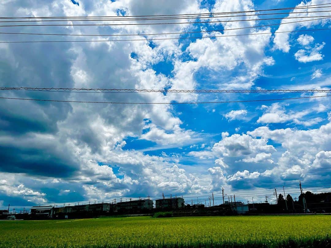 水谷千尋さんのインスタグラム写真 - (水谷千尋Instagram)「週間天気見てもう晴れの日ないのかって心配してたけど しっかり晴れて嬉しい☺️🌈  こういう景色見ると ジブリだなーって思うの私だけ？  雲の向こうに☁️ 天空の城があると思うの私だけ？  栃木のおばあちゃん家行っても もうこんな景色ないからなぁ  空みるの好きだなー！😊🩵🤍  #ジブリ  #ジブリの世界  #景色  #景色最高  #田園  #田舎  #田舎の風景  #田んぼ  #雲  #雲が好き  #雲が好きな人と繋がりたい」8月8日 18時25分 - chippy_0804