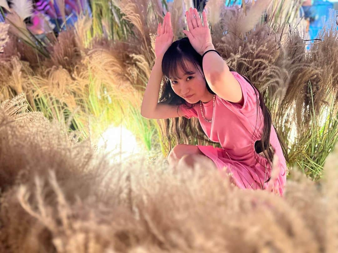 NOHANAさんのインスタグラム写真 - (NOHANAInstagram)「・ 🌾🌾🌾🌕🐰  6月の終わりに みどちゃんとちさのと遊んだ時の時差投稿😂  photo by @midsongworld 💜 ・ #新大久保 #新大久保カフェ#韓国カフェ #CAFEiN #셀카 #카페 #얼스타그램 #감성사진 #일본」8月8日 18時37分 - nohapppppy