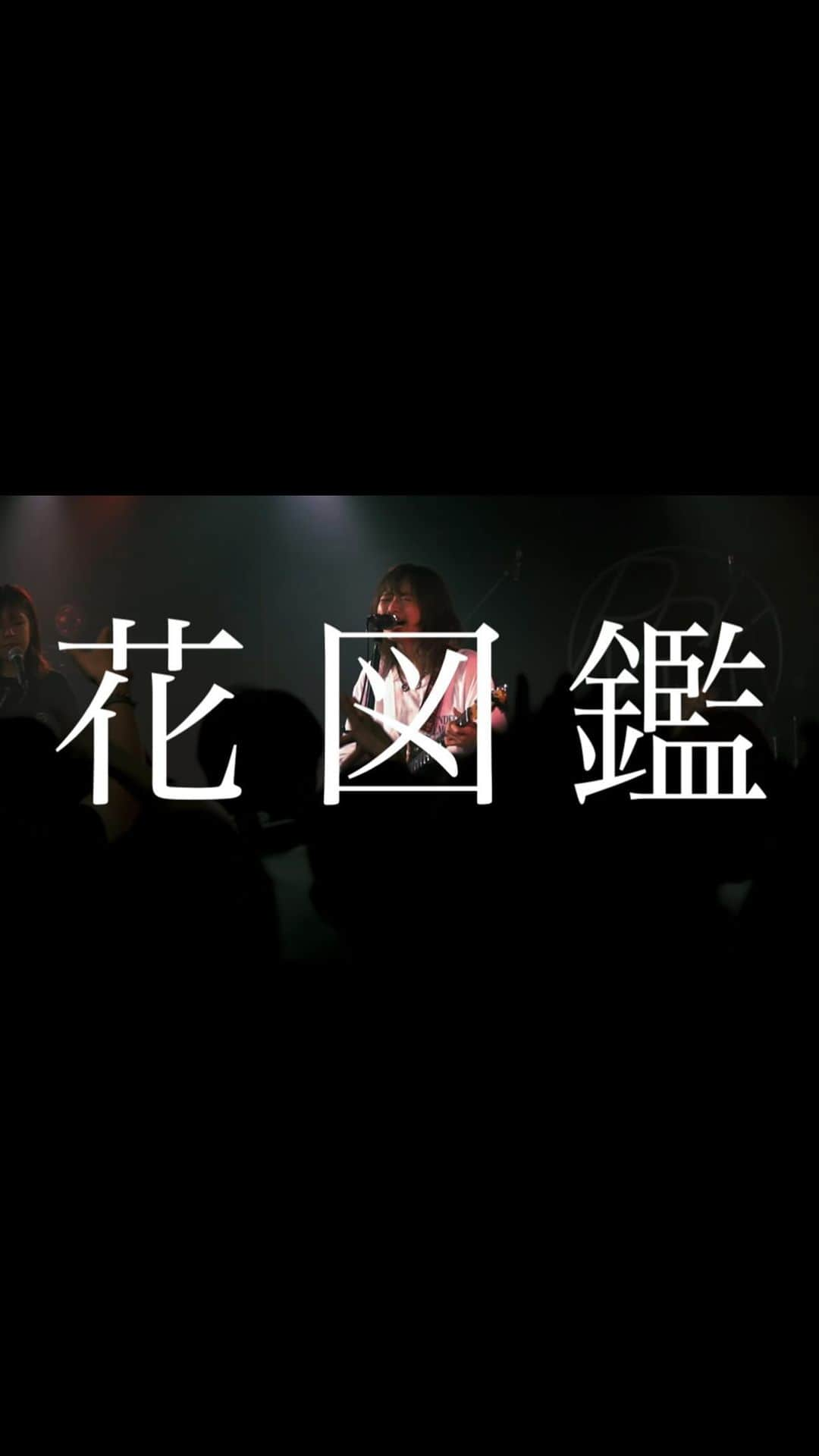 RIRIKOのインスタグラム：「RIRIku vol.1 ライブ映像お裾分け  『#花図鑑』 ・ ・ ＿＿公園の花の方が   僕なんかよりも生きてるんじゃないか。 ・  撮影: @pyoritir  ・ #RIRIKO  #RIRIKOBAND」