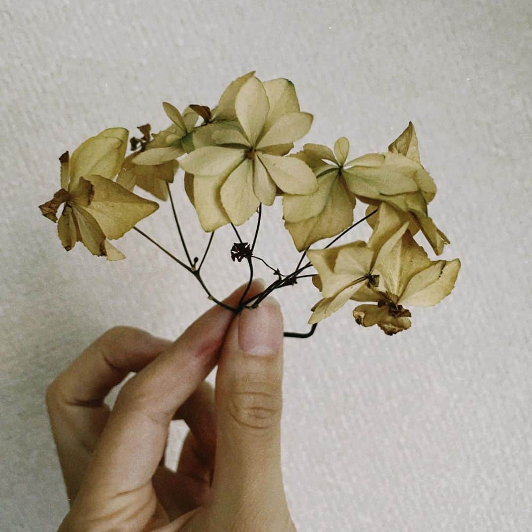 塩野響子さんのインスタグラム写真 - (塩野響子Instagram)「⠀また来年会おうね。」8月8日 19時48分 - kyondayo1206