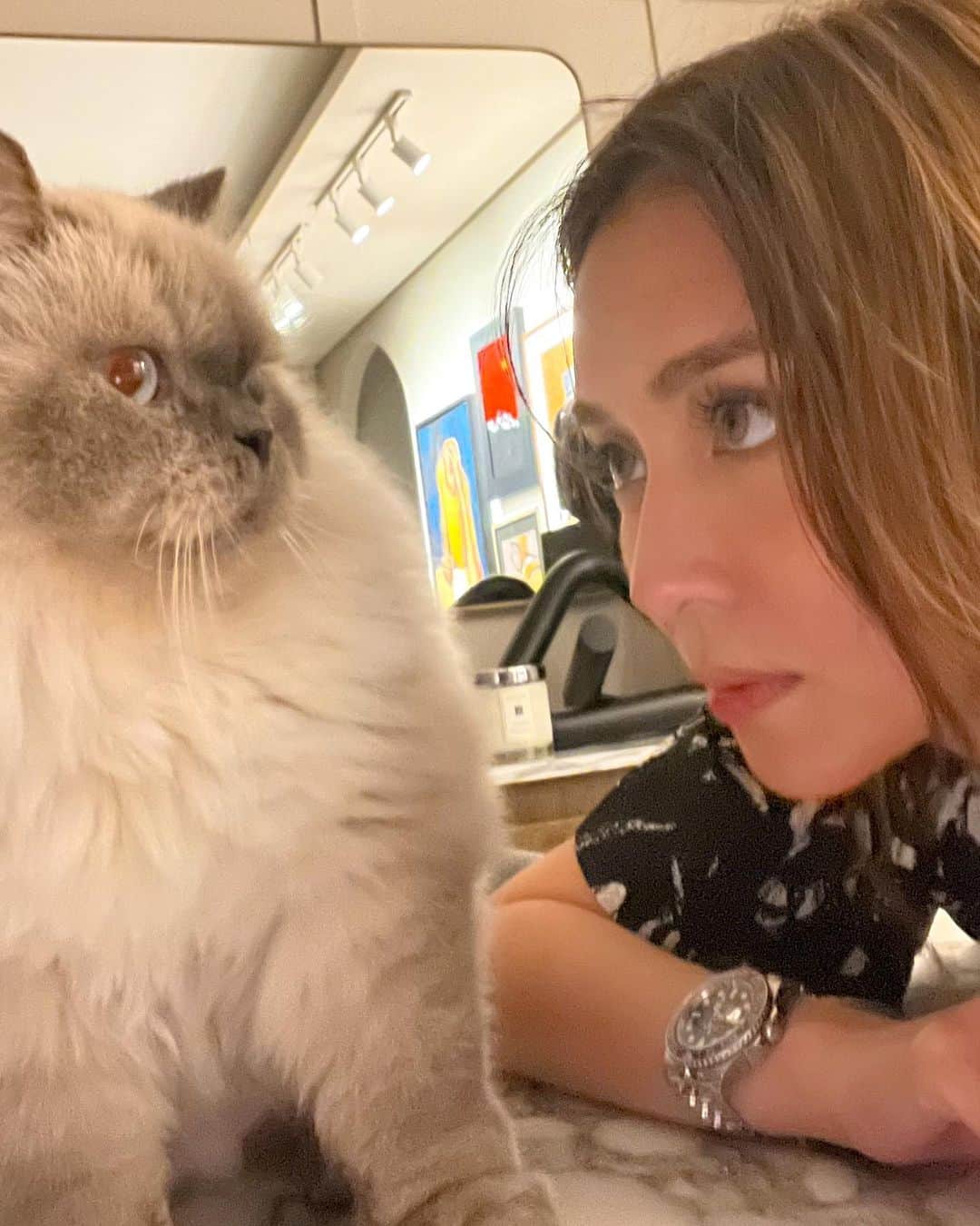 Kathryn Bernardoのインスタグラム：「Whatchalookin at, cat? 👀」