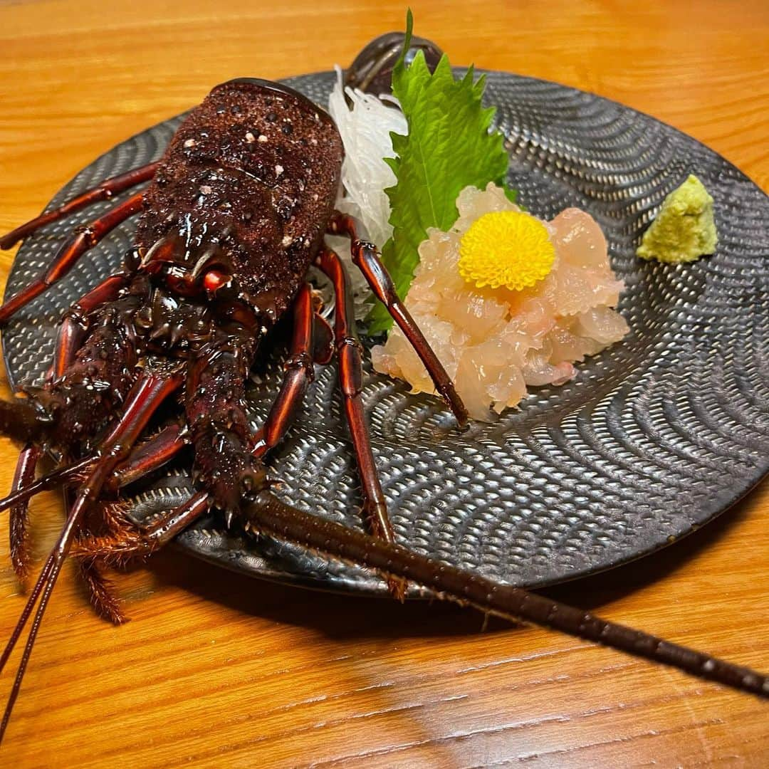 田中美奈子さんのインスタグラム写真 - (田中美奈子Instagram)「伊勢海老の登場🦞 独身時代に三重県の宮の雪と言う日本酒🍶のCMをやらせて頂いていました😃その時も伊勢海老をご馳走になった事を思い出しました🤗 宮崎本店さん、お世話になりました🙏🏻#伊勢海老のお造り #伊勢エビのお造り #三重県観光 #三重県グルメ #津市グルメ #津市ディナー #津市へ #海鮮グルメ#japanfood #japanculture #japanesefood #kaisen #宮の雪」8月8日 21時34分 - tanakaminako0912