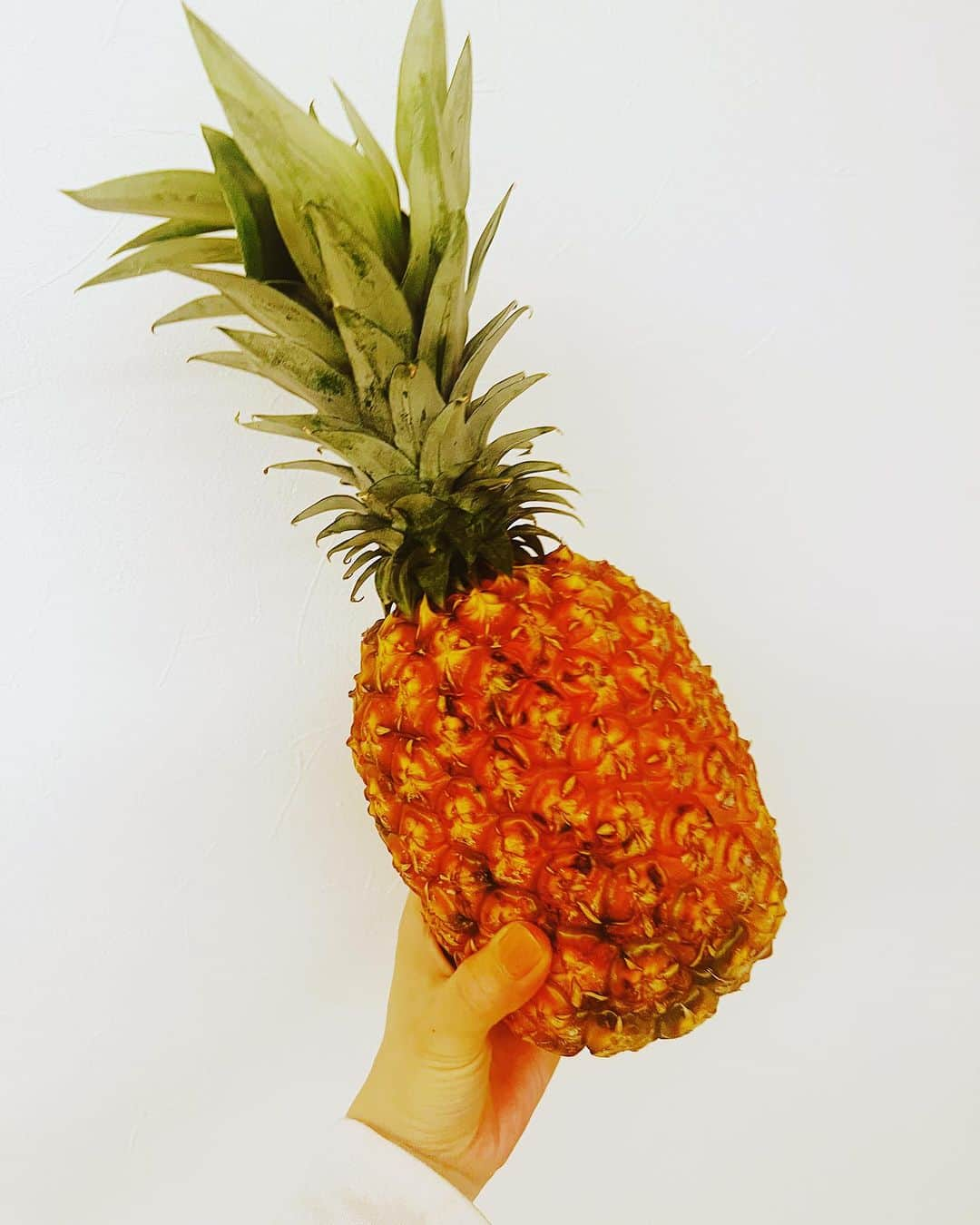 沙央くらまのインスタグラム：「パイン🍍 こんなに美味しくてみずみずしいパインは初めてだったかも🍍 初めてさばいたよ🍍 さばくって言わないかな🍍  #沖縄パイン #友達の優しさ」