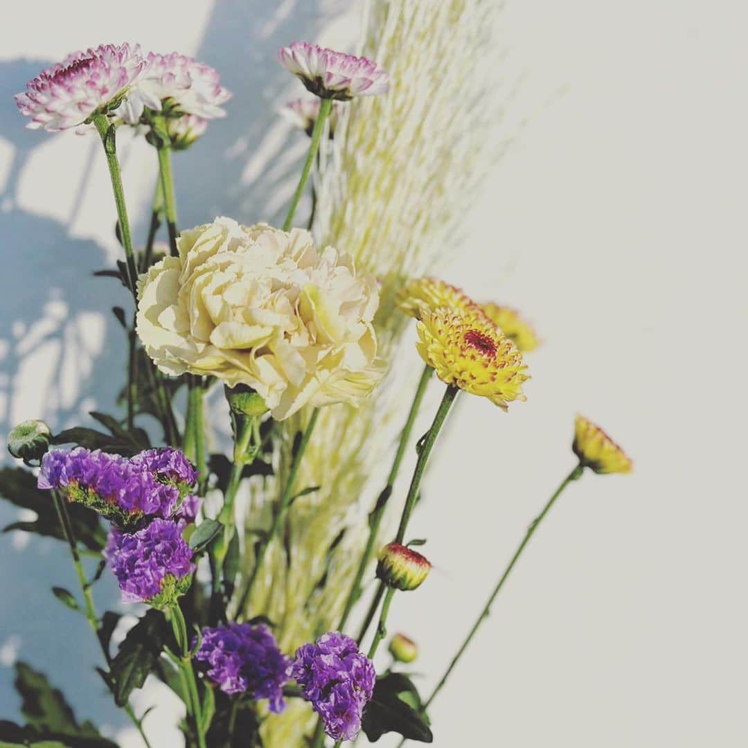 MILLE ECLAT.のグルメインスタ