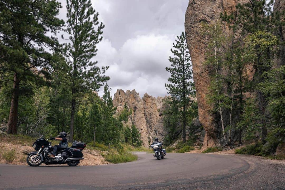 Harley-Davidsonさんのインスタグラム写真 - (Harley-DavidsonInstagram)「The South Dakota Black Hills define adventure for us. Get out and ride free.​  📷 @kurpius​  #HarleyDavidson #Sturgis2023 #Sturgis​」8月9日 0時00分 - harleydavidson