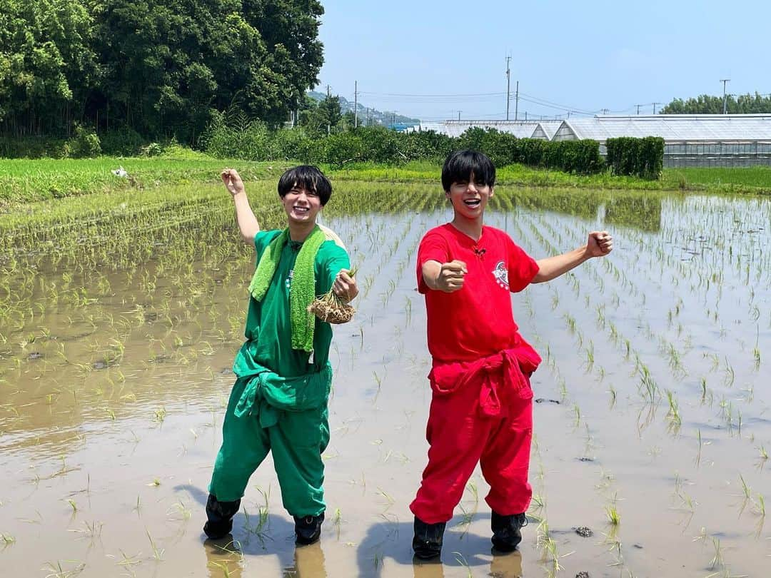 大城光のインスタグラム：「希大との田植えロケ🌾 久しぶりに一緒にロケしてあの時の木曜日を思い出したわ😆  めちゃくちゃ楽しかったわ！ 相変わらず希大節全開でむしろレベルアップしてた🎉  この日は視聴者の皆様も一緒に田植えをしてくださって改めて「猫ひた」「猫ひ田」が愛されてるなと感じる瞬間でした😌  #マジプリ#大城光 #小林希大 @kidai_kobayashi  #tvk #テレビ神奈川 #猫のひたいほどワイド #猫ひた #猫ひ田 #田植え」