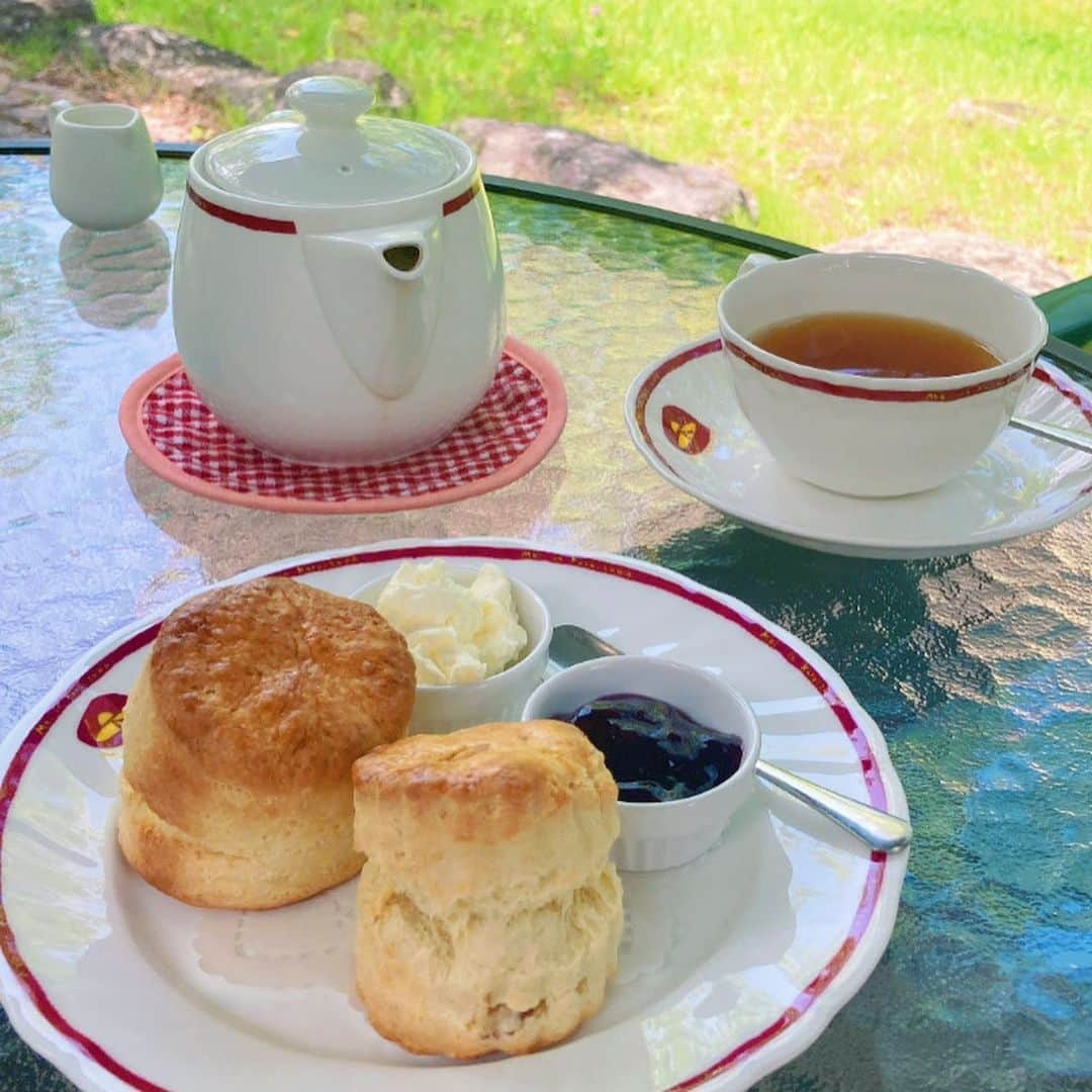 大平有沙さんのインスタグラム写真 - (大平有沙Instagram)「スコーンと紅茶がとても美味しくてガーデンが素敵すぎたカフェ🫖🍰  可愛いわんちゃんたちが沢山いて癒されたー！！  また行きたい☺︎」8月9日 21時50分 - arisa_ohira