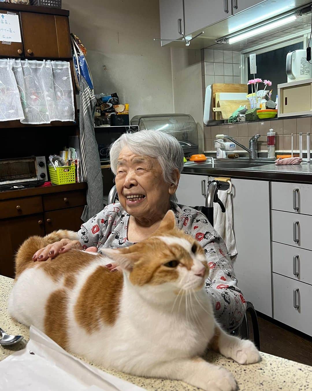 Kachimo Yoshimatsuさんのインスタグラム写真 - (Kachimo YoshimatsuInstagram)「今日のバーバとおいなりちゃん。 Mother & Oinari-Chan  #うちの猫ら #猫 #oinari #ねこ #ニャンスタグラム #にゃんすたぐらむ #ねこのきもち #cat #ネコ #catstagram #ネコ部 http://kachimo.exblog.jp」8月9日 1時53分 - kachimo