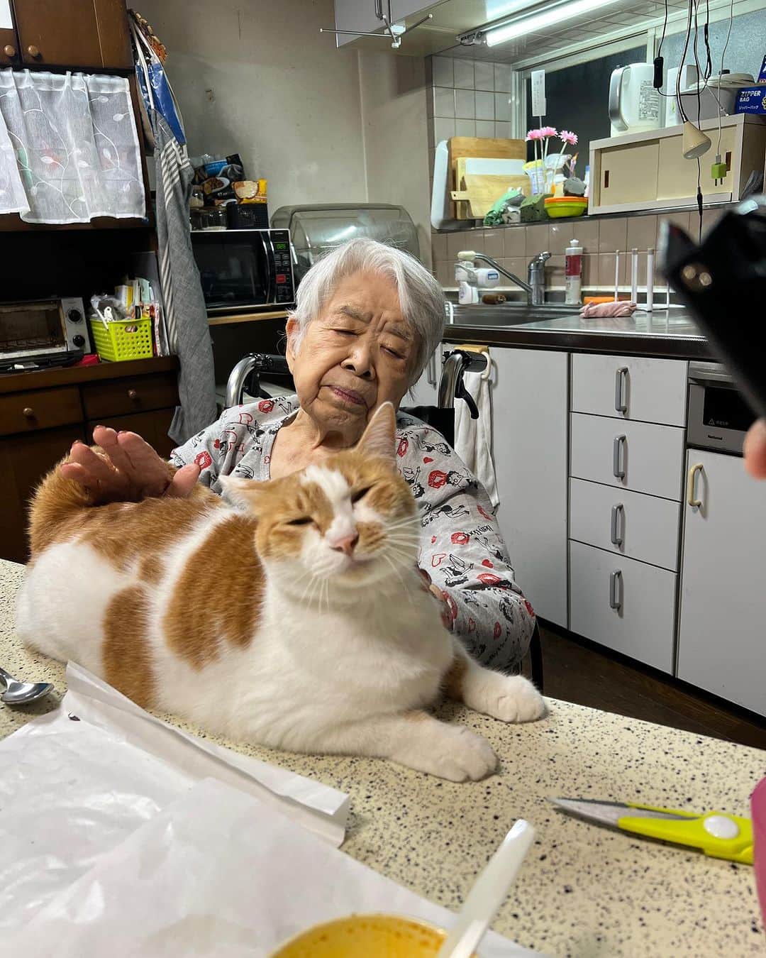 Kachimo Yoshimatsuのインスタグラム：「今日のバーバとおいなりちゃん。 Mother & Oinari-Chan  #うちの猫ら #猫 #oinari #ねこ #ニャンスタグラム #にゃんすたぐらむ #ねこのきもち #cat #ネコ #catstagram #ネコ部 http://kachimo.exblog.jp」