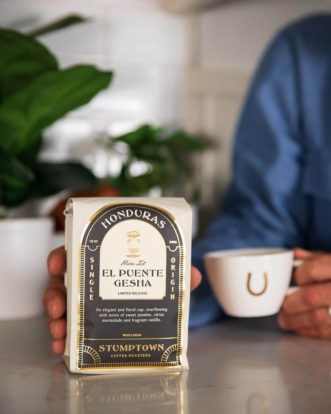 Stumptown Coffee Roastersのインスタグラム：「If you’re not familiar with El Puente Gesha, you might wonder what all the excitement is about.   For many, Gesha is the most coveted coffee variety—renowned for its quality, unique sweetness, and elegant floral notes.    The story of Honduras El Puente Gesha goes something like this: In 2006, our founder visited coffee producers Moisés and Marysabel at Finca El Puente with a handful of Gesha seeds in his pocket.   Not only did Finca El Puente have the right growing conditions this famously finicky variety needed to thrive, but Moisés and Marysabel also had the dedication, curiosity, and attention to detail required to coax out its full potential in the cup.	  It's truly a labor of love, and this year's Gesha offering is pure elegance with notes of sweet jasmine, citrus marmalade, and fragrant vanilla. ✨   It's extremely limited, so act fast to place dibs on yours before it’s too late.」