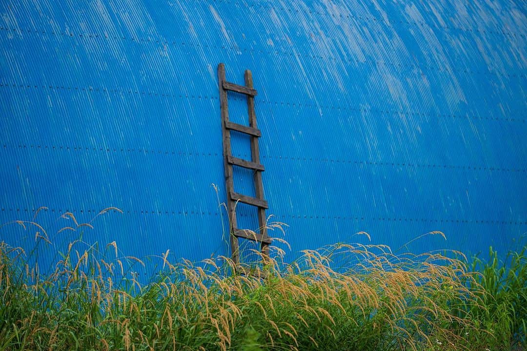 Michael Yamashitaさんのインスタグラム写真 - (Michael YamashitaInstagram)「Hokkaido’s barns: Painted in the most vivid primary colors, barns dot the landscape attracting the eyes of landscape photographers. As a quarter of Japan's arable land is located on the island, agriculture plays a major role in Hokkaido's economy. The island ranks first in Japan for production of a range of agricultural products, including wheat, soybeans, potatoes, beet, onions, corn, milk, and beef. #barn #barnart #hokkaidofarm #hokkaido」8月9日 5時14分 - yamashitaphoto