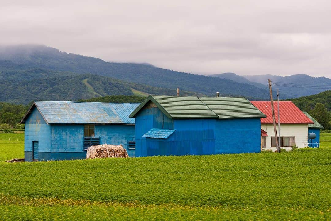 Michael Yamashitaさんのインスタグラム写真 - (Michael YamashitaInstagram)「Hokkaido’s barns: Painted in the most vivid primary colors, barns dot the landscape attracting the eyes of landscape photographers. As a quarter of Japan's arable land is located on the island, agriculture plays a major role in Hokkaido's economy. The island ranks first in Japan for production of a range of agricultural products, including wheat, soybeans, potatoes, beet, onions, corn, milk, and beef. #barn #barnart #hokkaidofarm #hokkaido」8月9日 5時14分 - yamashitaphoto