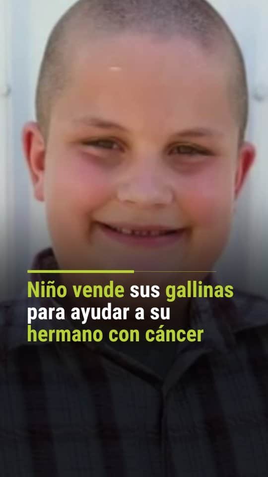 Primer Impactoのインスタグラム：「🐔 Un niño vende dos gallinas para pagar el tratamiento de su hermanito enfermo de cáncer pero no se esperaba la respuesta de la comunidad.   📺 Más en Primer Impacto a las 5pm/ 4C de lunes a viernes por @univision」