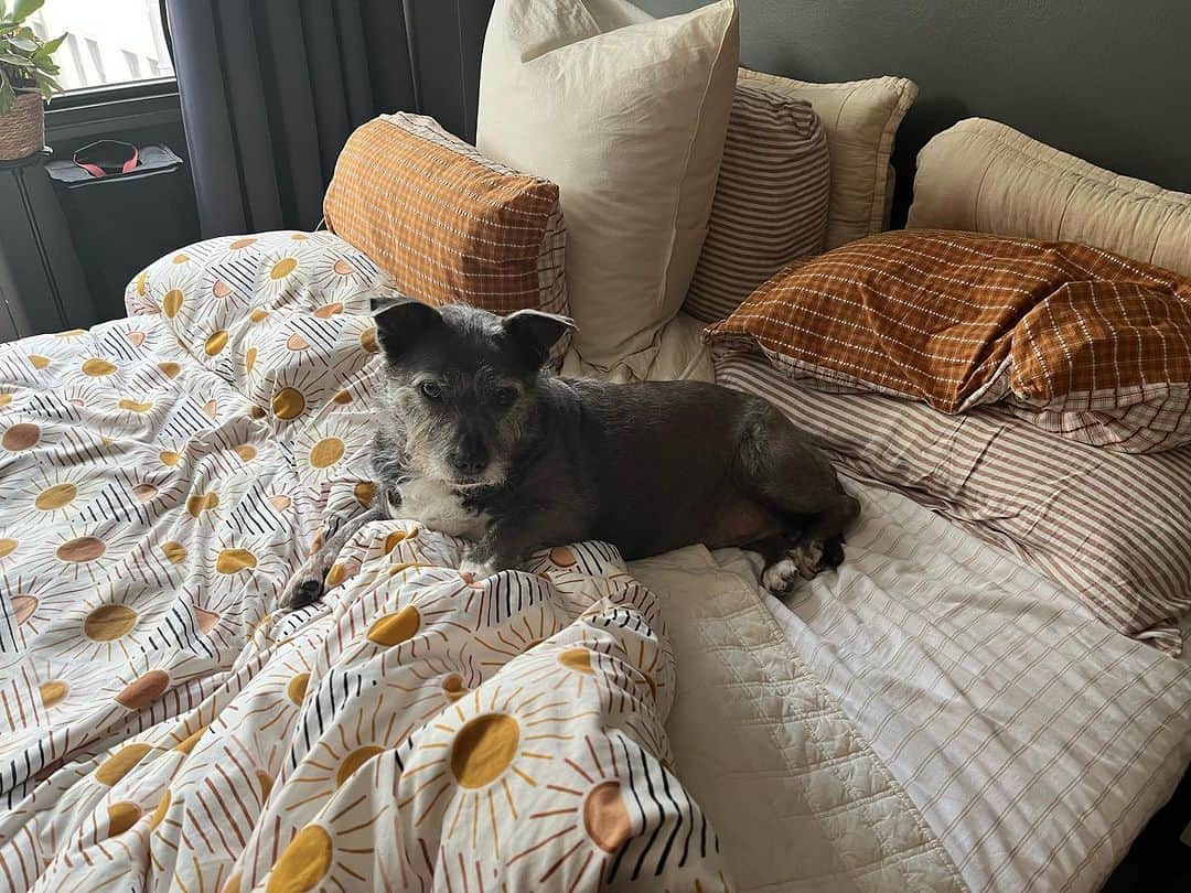 ズザンナ・シャコフスキーのインスタグラム：「This gal @thecindydoggy」