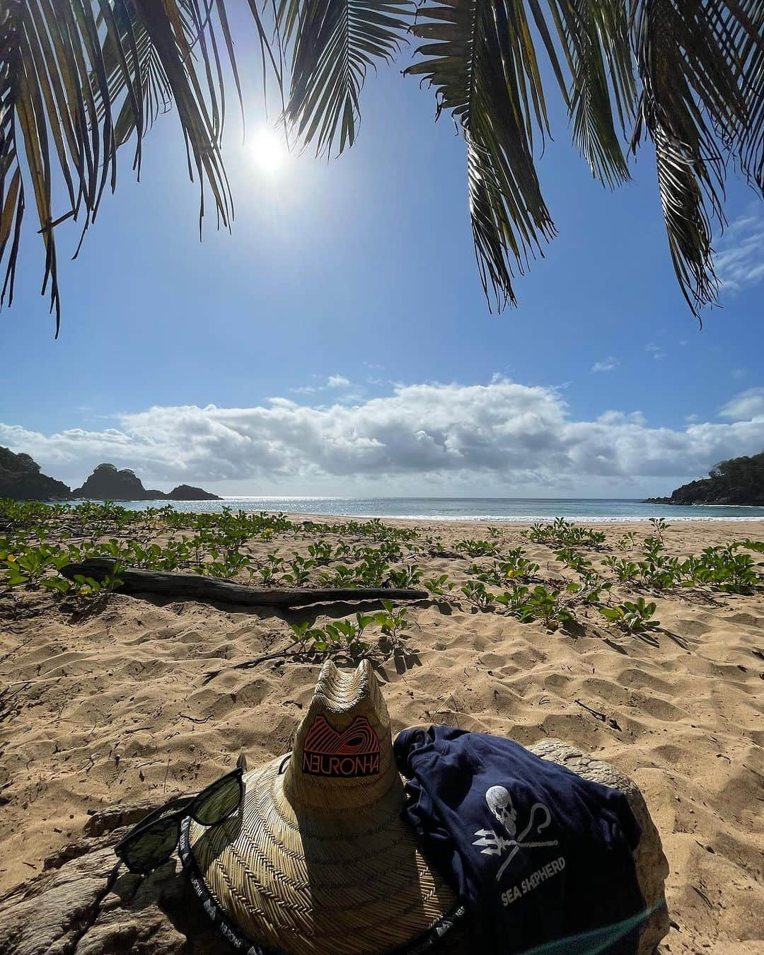 Bruno Gissoniさんのインスタグラム写真 - (Bruno GissoniInstagram)「Ilha do amor , da esperança e do futuro .  Temos 6 anos para desacelerarmos o aquecimento global . Depois disso , entraremos em uma fase de não retorno.  se nada for feito e mantivermos esse ritmo, em 2050 mataremos a vida nos oceanos e consequentemente na terra .  A @seashepherdbrasil e a @casaneuronha organizaram um encontro entre especialistas para debatermos uma solução. a primeira meta é a criação de áreas “ NO TAKE” que visam proteger pontos estratégicos como berçários e corredores marinhos .  É Urgente!  Mas a boa notícia é que temos a CIÊNCIA a nosso favor .  Podemos sim criamos juntos uma sociedade sustentável e que viva em harmonia com a nossa ÚNICA casa .  VIVA A CIÊNCIA ! VIVA A VIDA !」8月9日 6時40分 - brunogissoni