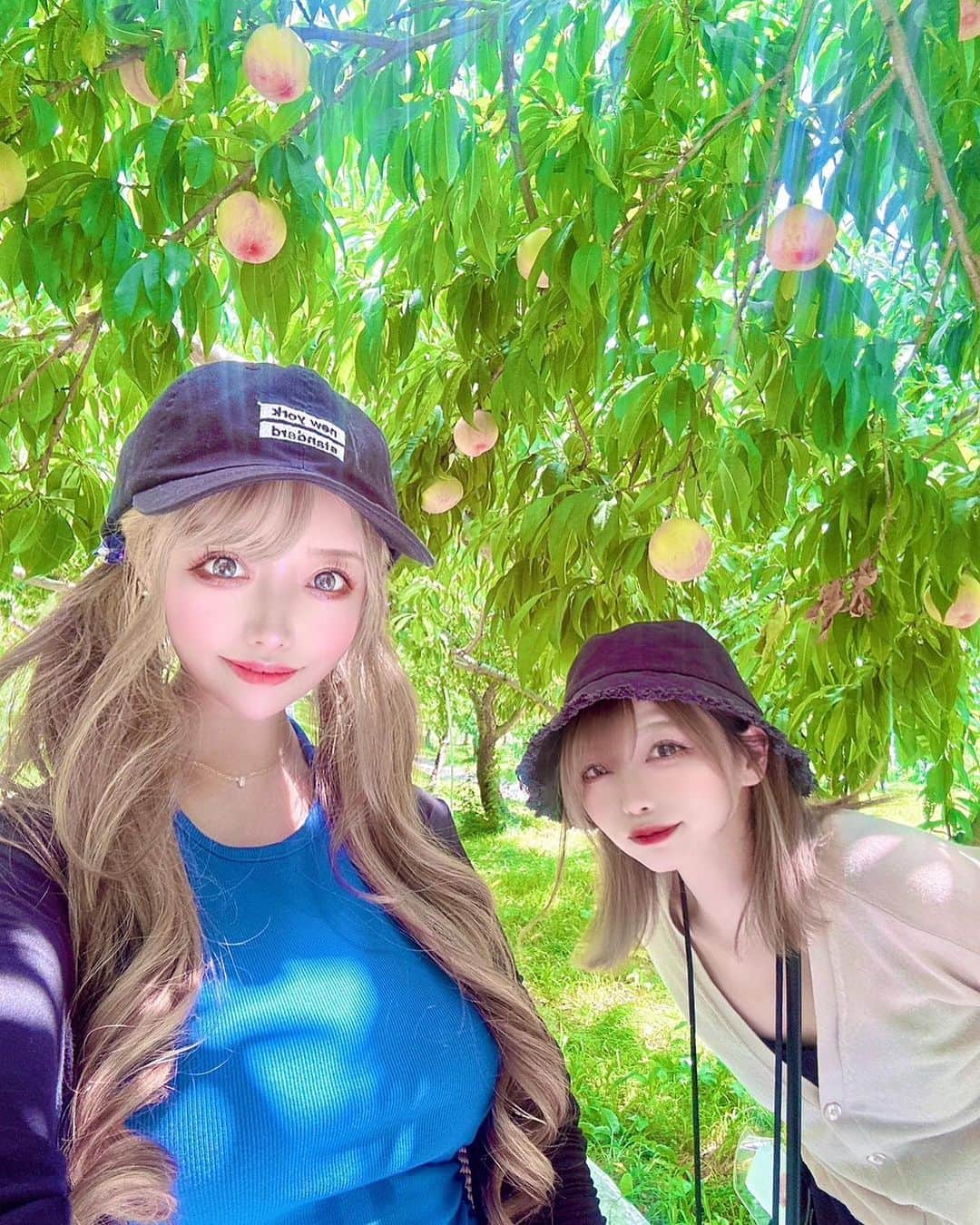 でいじーのインスタグラム：「桃狩り🍑 今回ゎその場で食べるとかじゃなかった笑  #桃狩り#桃#peach#フルーツ#フルーツ狩り#桃好き#可愛い#キャバクラ#キャバ嬢#夜職#水商売#ニュークラ#ホスト#ホストクラブ#ガールズバー#ラウンジ#キャバ#新宿#歌舞伎町#東京#love#cute#happy#ツインテール#真夏#夏#自然#ぎゃる」